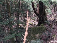 PXL_20210920_001802744.MP