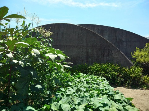 P_20190810_121202_HDR