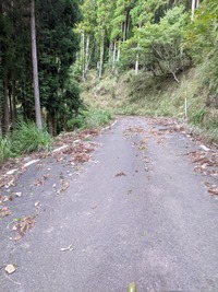 PXL_20210919_233840136.MP