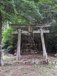 PXL_20210919_235314312.MP