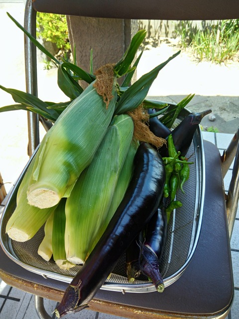 P_20190810_121008_HDR