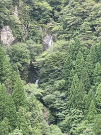 PXL_20210920_020809689