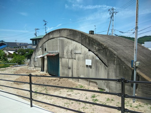 P_20190810_115541_HDR