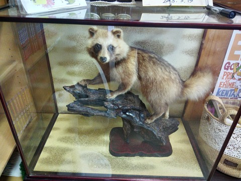 P_20190810_125241_HDR