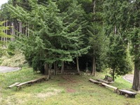 PXL_20210919_235709500