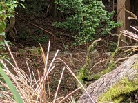 PXL_20210920_002015440.MP