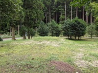 PXL_20210919_235323971