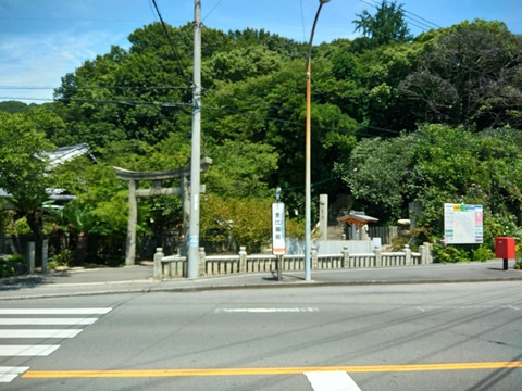 P_20190810_125958_HDR