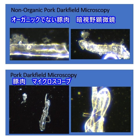 スクリーンショット 2023-04-28 010951