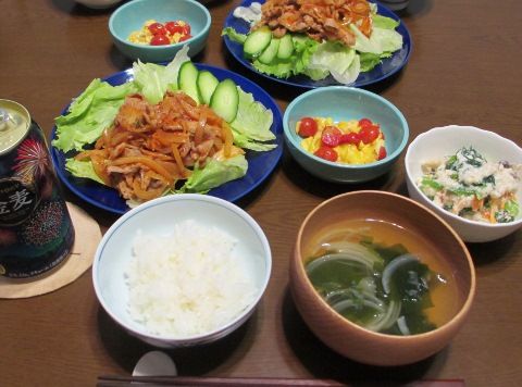 IMG_0860 (480x356)