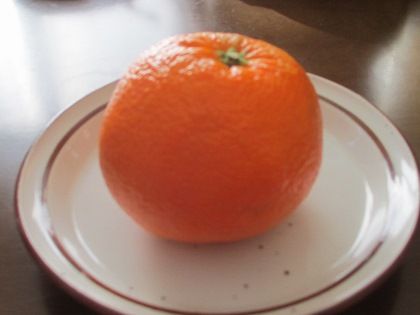 IMG_0037 (420x315)