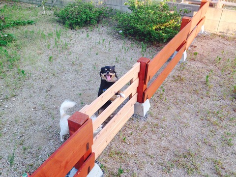自作の犬用柵