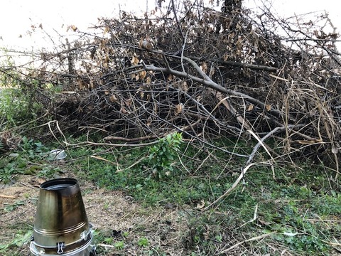 AA5D86AF-9D08-4113-8B7C-17B23911F986