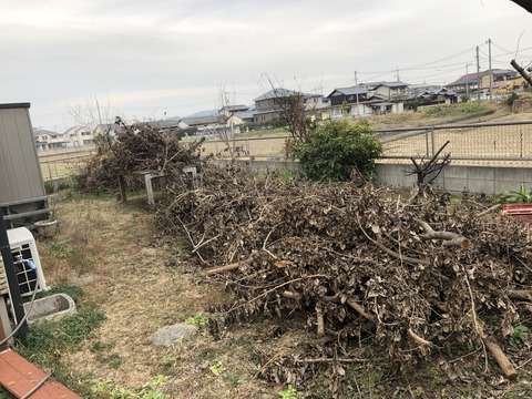 8E772397-32C8-4D1A-9138-34C32DDBB7DF