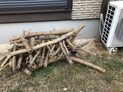 D2236851-145A-4CDC-94CA-5B8CFC177214