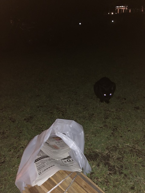 79F0AF69-2055-4B90-B58F-41DDF03A9DDB