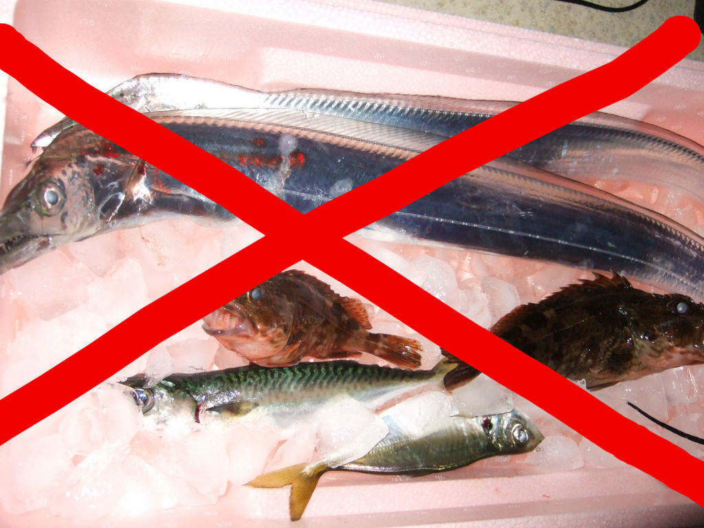 釣った魚が 生臭い 味が落ちるのはどうして 釣りする しろいたち