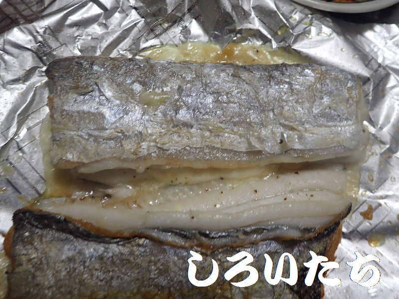 タチウオの料理 親子丼 と チーズハサミ焼き フライ 釣りする しろいたち