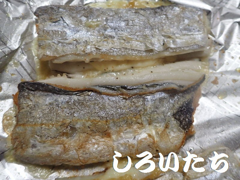 タチウオの料理 親子丼 と チーズハサミ焼き フライ 釣りする しろいたち