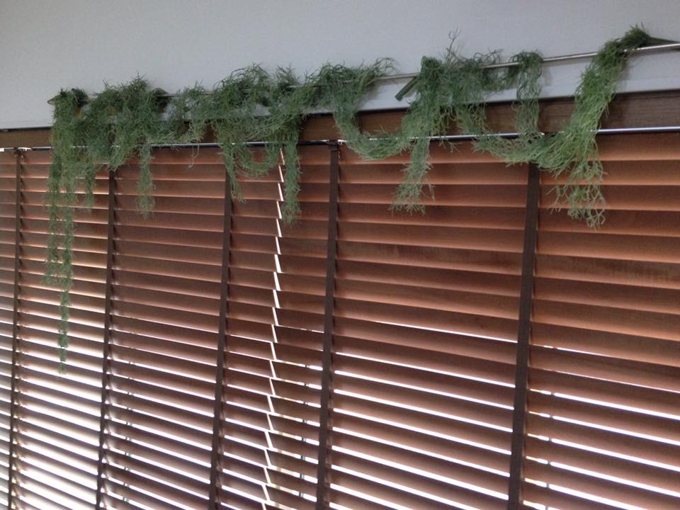 17190572_279805002453438_511472141933908386_n