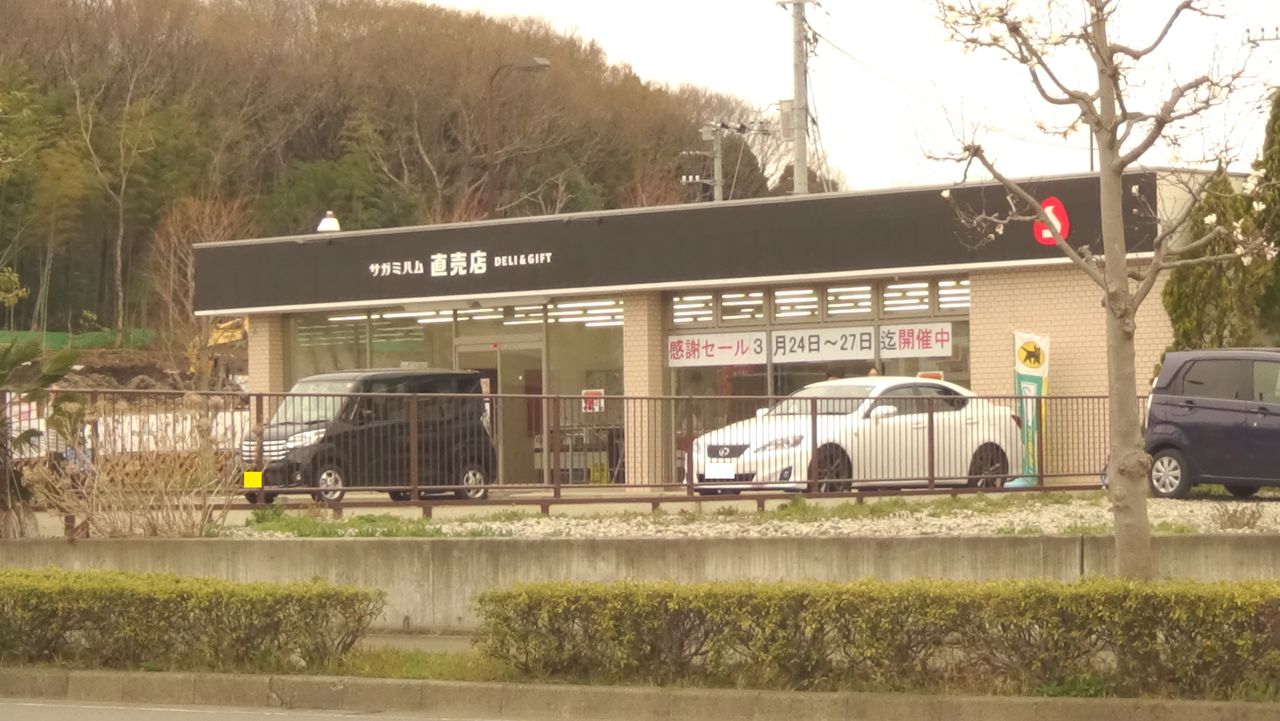 白くまデラックス【工場直売アウトレット】《相模ハム直売店 DELI&GIFT》<お客様感謝SALE!>〔神奈川県 藤沢市〕2018年(平成30年)1月19日(金)~21日(日)お客様感謝SALE! 開催♪コメント