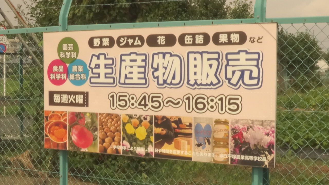 工場直売アウトレット 神奈川県立平塚農業高等学校 神奈川県 平塚市 収穫したばかりの農作物が安い 毎週火曜日 30分だけの生産物販売 白くまデラックス 工場直売アウトレット 神奈川県立平塚農業高等学校 神奈川県 平塚市 収穫したばかりの農作物が安い 毎週火曜日 30分だけの生産物販売 白くまデラックス