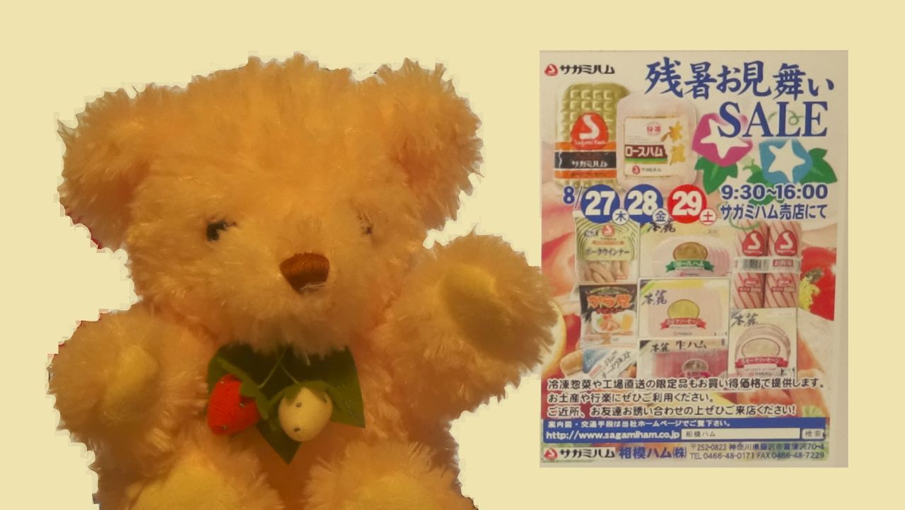 工場直売アウトレット 相模ハム藤沢直売店 神奈川県 藤沢市 前編 2015年8月27日 木 残暑お見舞いsale に行ってきました 白くまデラックス 工場直売アウトレット 相模ハム藤沢直売店 神奈川県 藤沢市 前編 2015年8月27日 木 残暑お見舞いsale に行ってきました 白くまデラックス