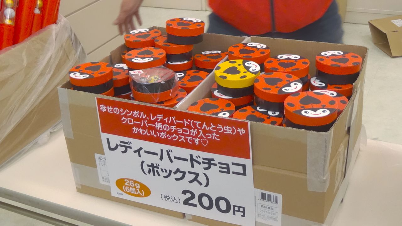 工場直売アウトレット】《芥川製菓株式会社》〔東京都 豊島区〕<サンシャインシティ>【中編】2017年2月24日（金）おいしいチョコのアウトレットセールに行ってきました♪  : 白くまデラックス