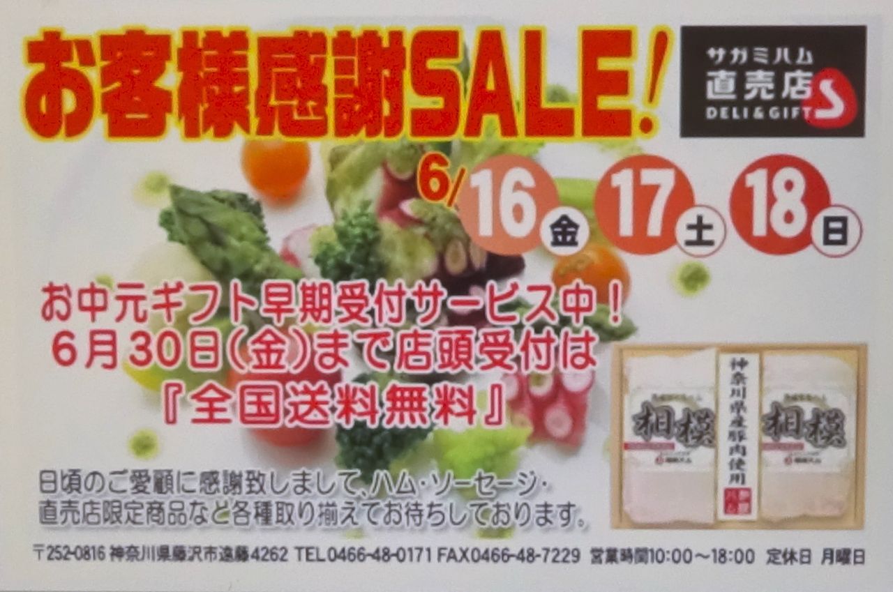 工場直売アウトレット 相模ハム直売店 Deli Gift お客様感謝sale 神奈川県 藤沢市 17年 平成29年 6月16日 金 18日 日 お客様感謝sale 開催 白くまデラックス 工場直売アウトレット 相模ハム直売店 Deli Gift お客様感謝sale 神奈川県 藤沢市 17年 平成29年 6月16日 金 18日 日 お客様感謝sale 開催 白くまデラックス