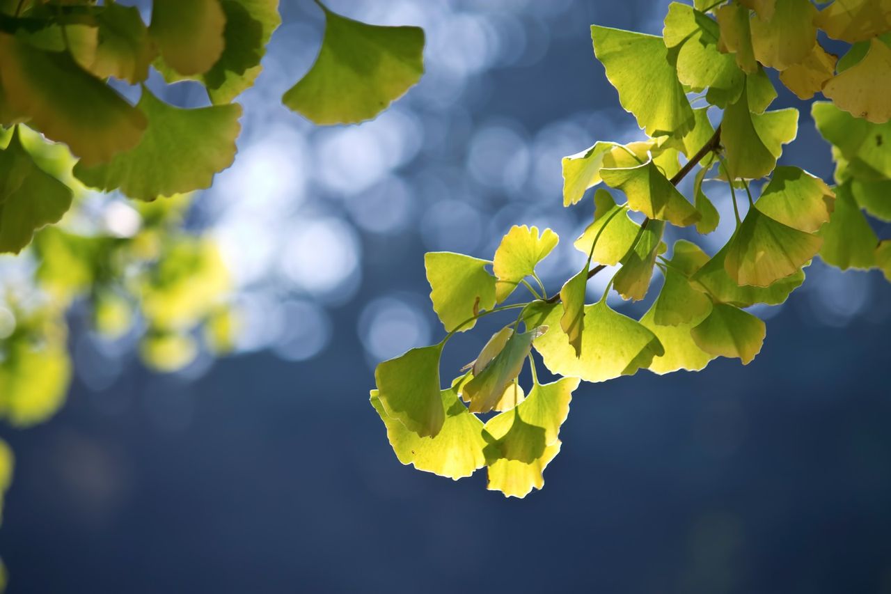 宝くじ当選番号 17年9月7日 木 抽選宝くじ 第2364回東京都宝くじ 第2426回関東 中部 東北自治宝くじ 第2543回近畿宝くじ 第2234回西日本宝くじ 当選番号案内 白くまデラックス 宝くじ当選番号 17年9月7日 木 抽選宝くじ 第2364回東京都宝くじ 第2426回関東 中部 東北自治宝くじ 第2543回近畿宝くじ 第2234回西日本宝くじ 当選番号案内 白くまデラックス