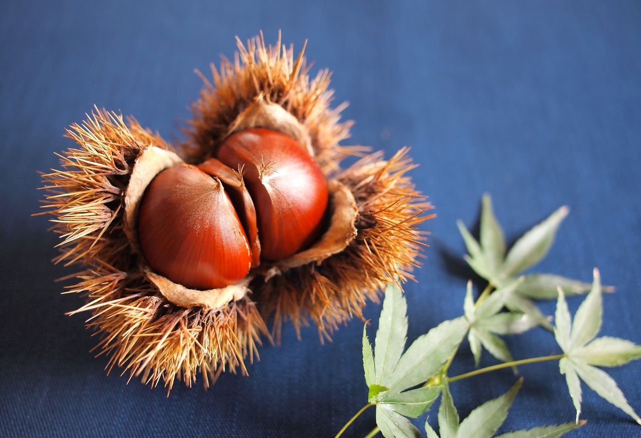 宝くじ当選番号 17年11月16日 木 抽選宝くじ 第2371回東京都宝くじ 第2433回関東 中部 東北自治宝くじ 第2550回近畿宝くじ 第2241回西日本宝くじ 当選番号案内 白くまデラックス 宝くじ当選番号 17年11月16日 木 抽選宝くじ 第2371回東京都宝くじ 第2433回関東 中部 東北自治宝くじ 第2550回近畿宝くじ 第2241回西日本宝くじ 当選番号案内 白くまデラックス