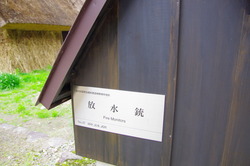 IMGP3226