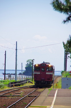 IMGP3528