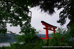 IMGP4607-1