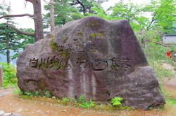 IMGP3134