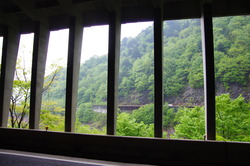 IMGP3028