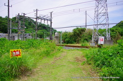 IMGP4300