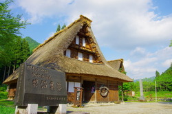 IMGP3354