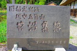 IMGP3355