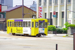 IMGP3588