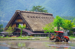 IMGP3221