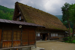 IMGP3230