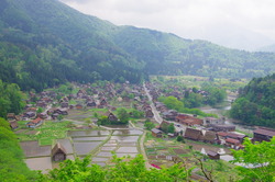 IMGP3180