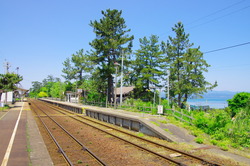 IMGP3563