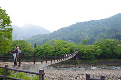 IMGP3051