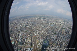 IMGP3860