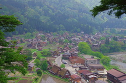 IMGP3132