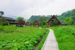 IMGP3096