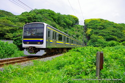 IMGP4310