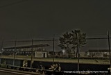 DSC05295